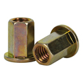 G.L. Huyett Rivet Nut, 3/8"-16 Thread Size, 0.703 in Flange Dia., .703 in L, Steel BTI-CFHD2-3716-125/B1